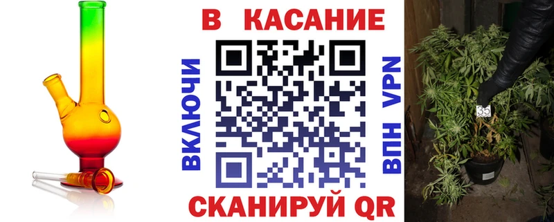 Псилоцибиновые грибы Болохово