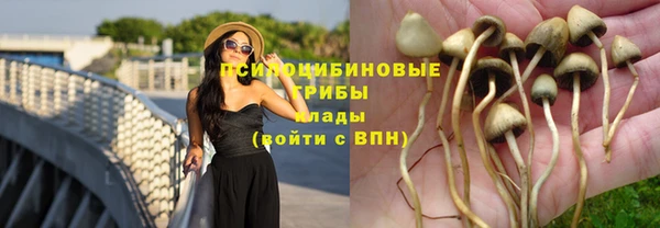 наркотики Алексеевка